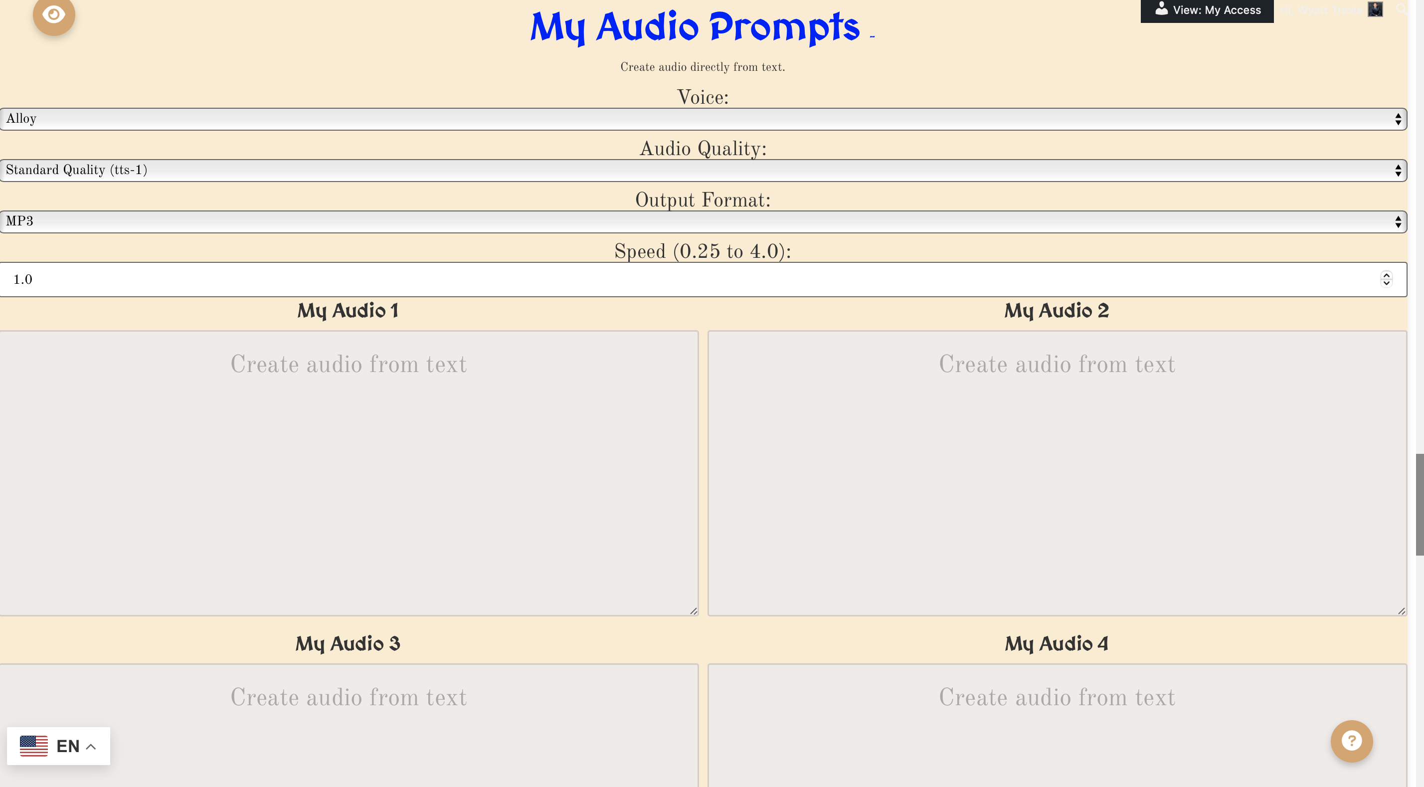 Audio prompts interface